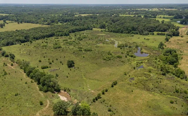 a view of a lake with a mountain