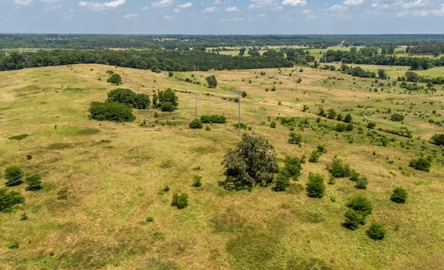 a view of a bunch of trees and houses