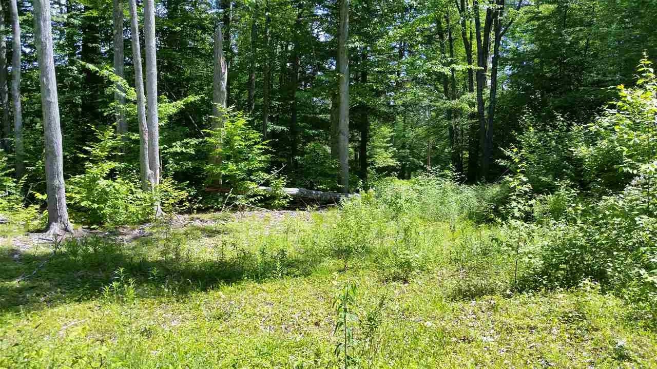 Pinnacle Springs Road Chesterfield, NH 03443 - Photo 1 of 32