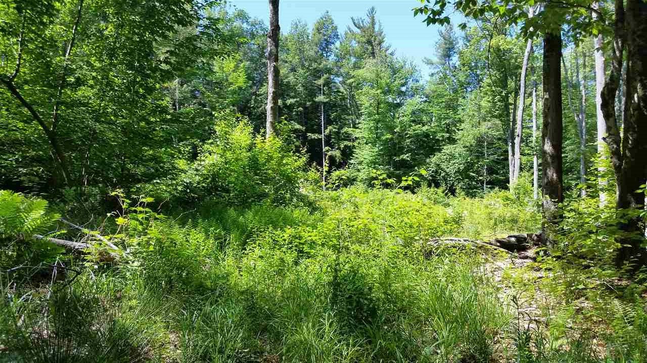 Pinnacle Springs Road Chesterfield, NH 03443 - Photo 2 of 32