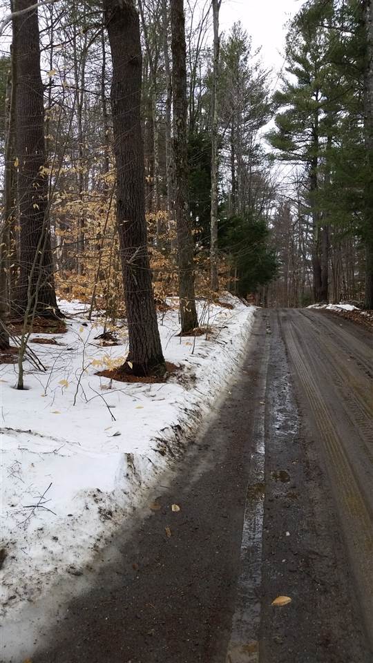 Pinnacle Springs Road Chesterfield, NH 03443 - Photo 11 of 32