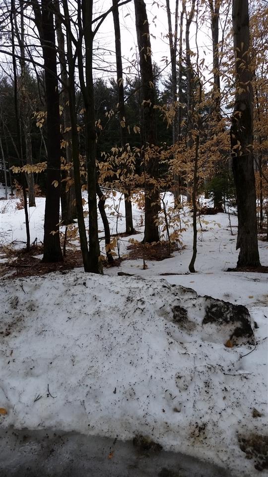 Pinnacle Springs Road Chesterfield, NH 03443 - Photo 12 of 32
