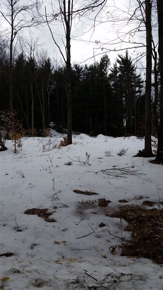 Pinnacle Springs Road Chesterfield, NH 03443 - Photo 13 of 32