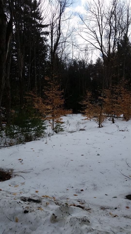 Pinnacle Springs Road Chesterfield, NH 03443 - Photo 14 of 32