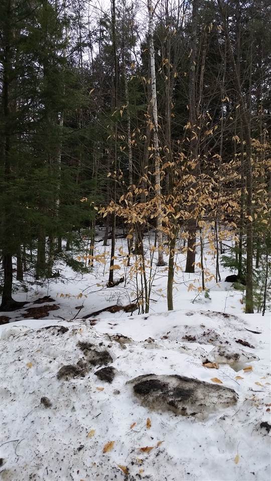 Pinnacle Springs Road Chesterfield, NH 03443 - Photo 15 of 32