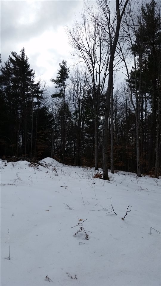 Pinnacle Springs Road Chesterfield, NH 03443 - Photo 17 of 32
