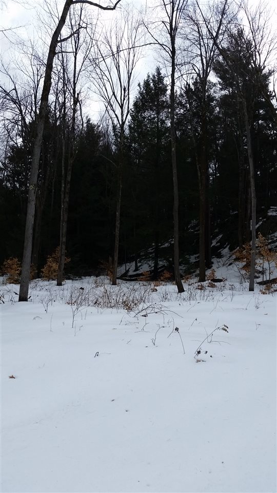 Pinnacle Springs Road Chesterfield, NH 03443 - Photo 18 of 32