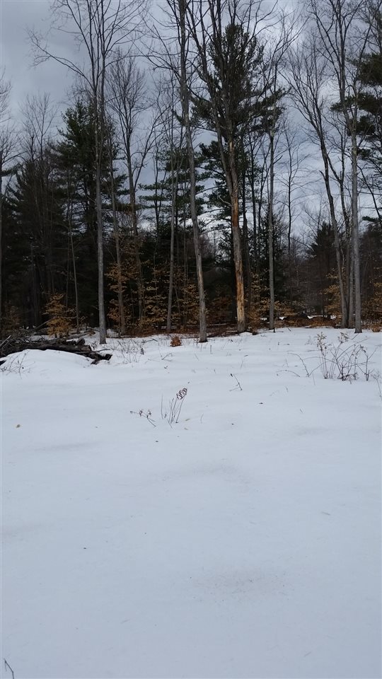 Pinnacle Springs Road Chesterfield, NH 03443 - Photo 19 of 32