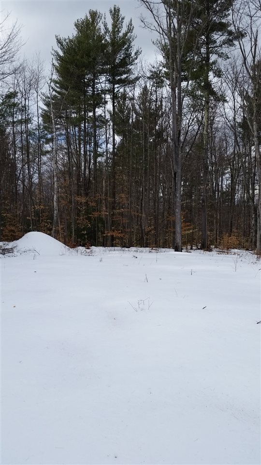 Pinnacle Springs Road Chesterfield, NH 03443 - Photo 20 of 32