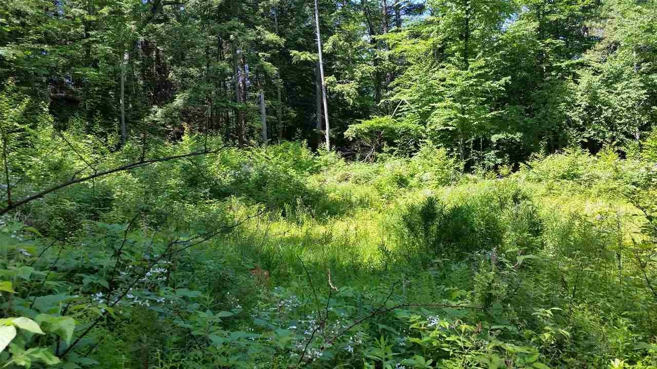 Pinnacle Springs Road Chesterfield, NH 03443 - Photo 3 of 32