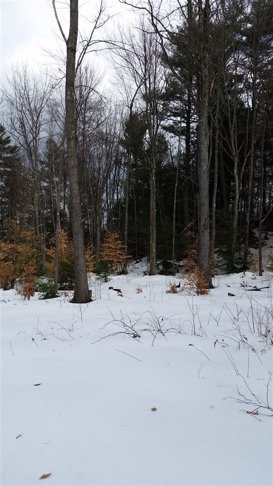 Pinnacle Springs Road Chesterfield, NH 03443 - Photo 21 of 32
