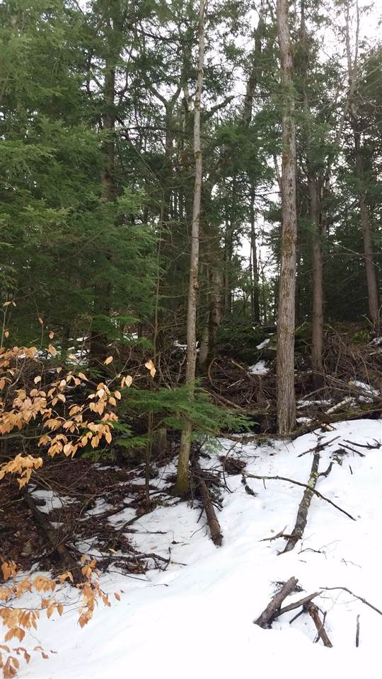 Pinnacle Springs Road Chesterfield, NH 03443 - Photo 22 of 32