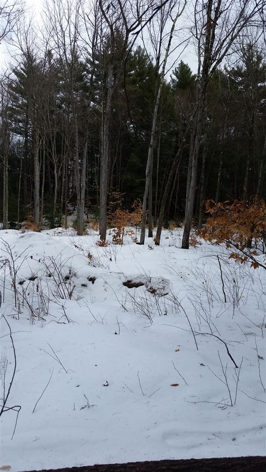 Pinnacle Springs Road Chesterfield, NH 03443 - Photo 23 of 32