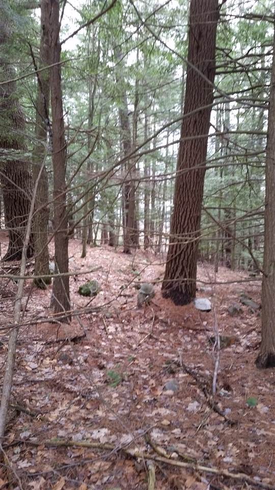 Pinnacle Springs Road Chesterfield, NH 03443 - Photo 24 of 32