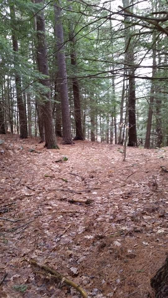 Pinnacle Springs Road Chesterfield, NH 03443 - Photo 25 of 32