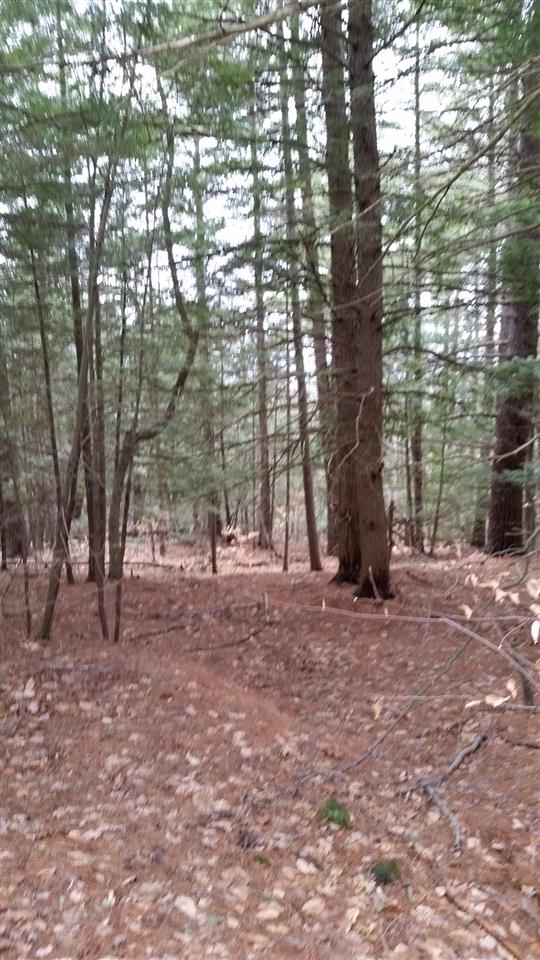 Pinnacle Springs Road Chesterfield, NH 03443 - Photo 26 of 32