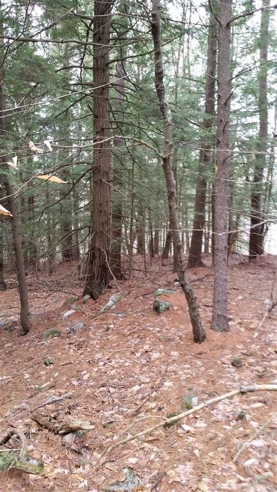 Pinnacle Springs Road Chesterfield, NH 03443 - Photo 27 of 32