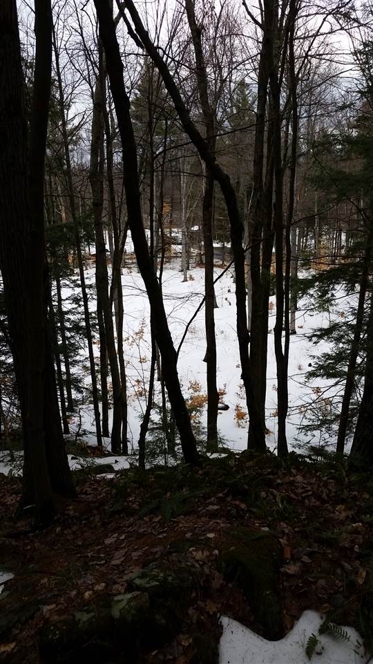 Pinnacle Springs Road Chesterfield, NH 03443 - Photo 28 of 32