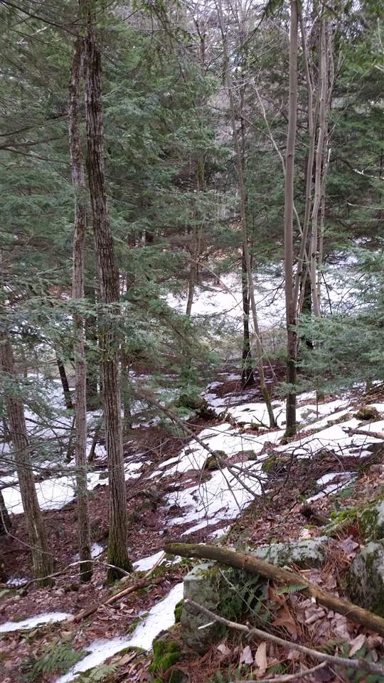 Pinnacle Springs Road Chesterfield, NH 03443 - Photo 29 of 32