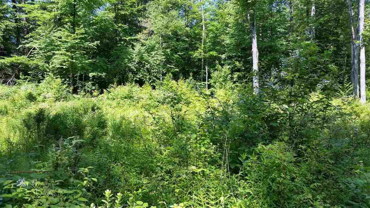 Pinnacle Springs Road Chesterfield, NH 03443 - Photo 4 of 32