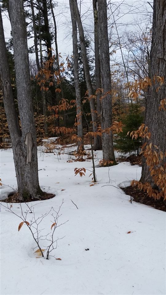 Pinnacle Springs Road Chesterfield, NH 03443 - Photo 31 of 32