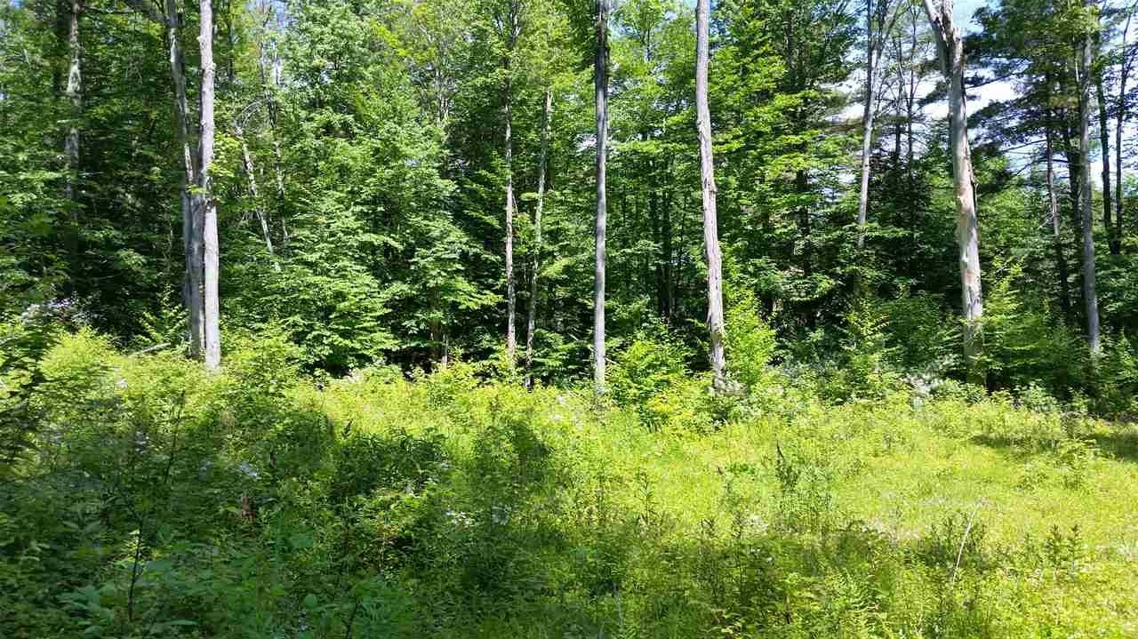 Pinnacle Springs Road Chesterfield, NH 03443 - Photo 5 of 32