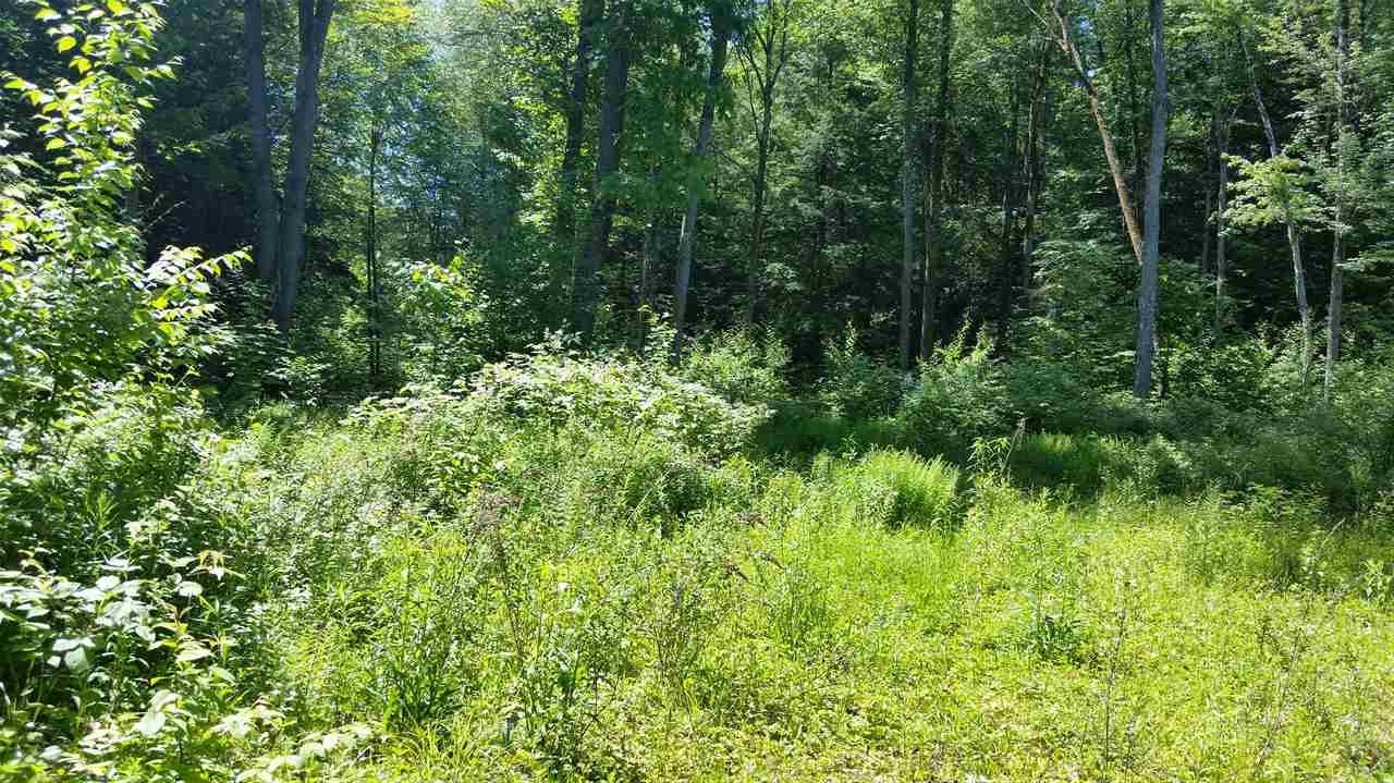 Pinnacle Springs Road Chesterfield, NH 03443 - Photo 6 of 32