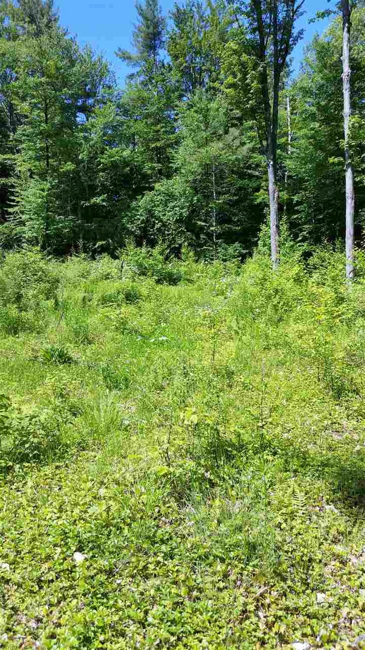 Pinnacle Springs Road Chesterfield, NH 03443 - Photo 7 of 32
