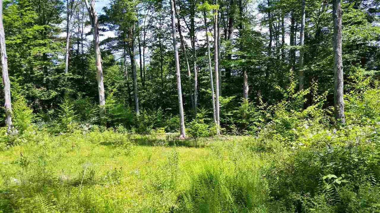 Pinnacle Springs Road Chesterfield, NH 03443 - Photo 8 of 32