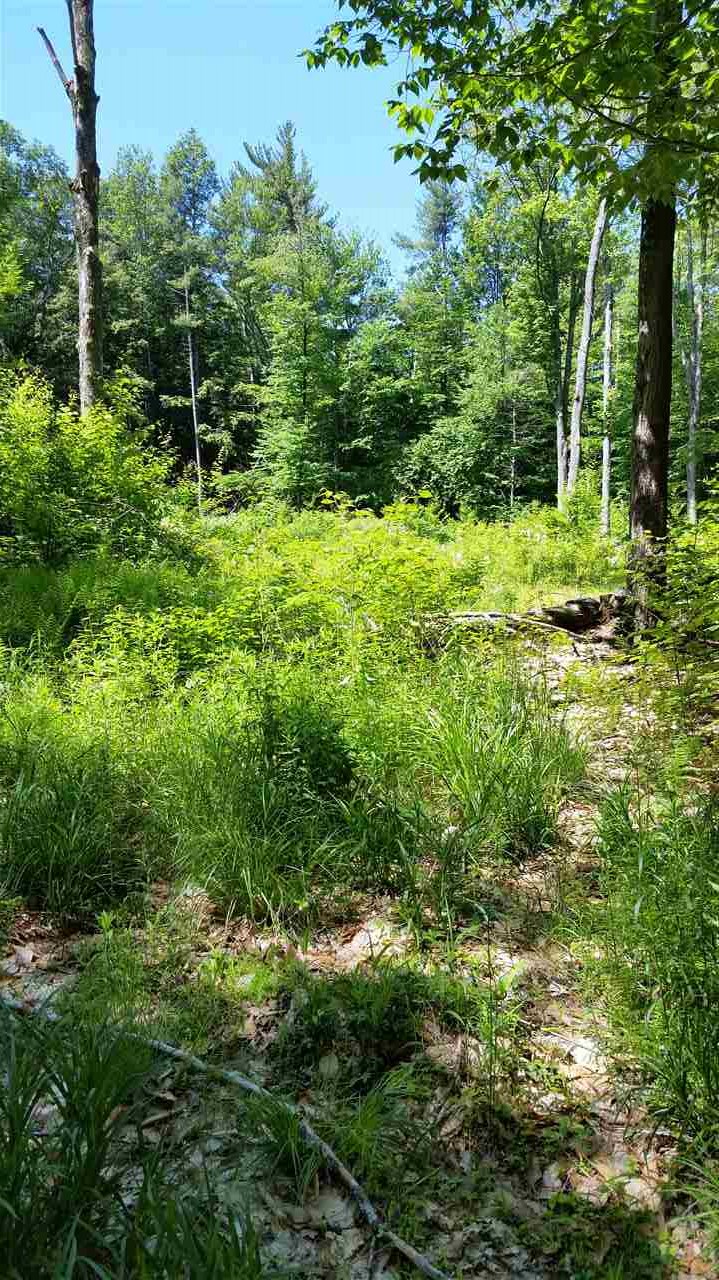 Pinnacle Springs Road Chesterfield, NH 03443 - Photo 10 of 32