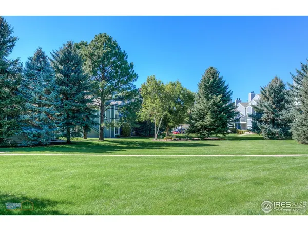 a grassy field with trees in the background