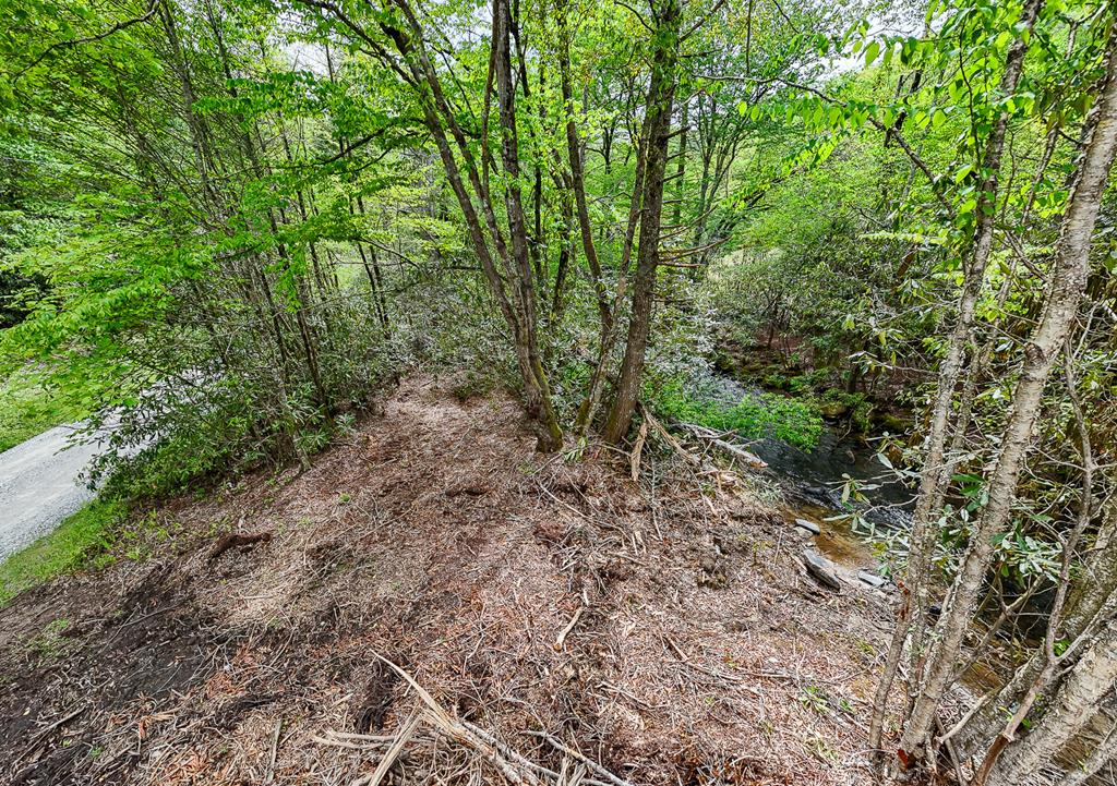 795 Porter Field Gap Road Robbinsville, NC 28771 - Photo 101 of 105