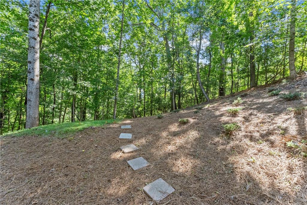2407 Thompson Mill Road Gainesville, GA 30506 - Photo 31 of 35 a view of a yard with plants and trees