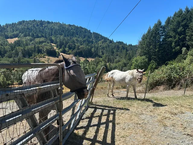 a view of a chairs and table on the terrace