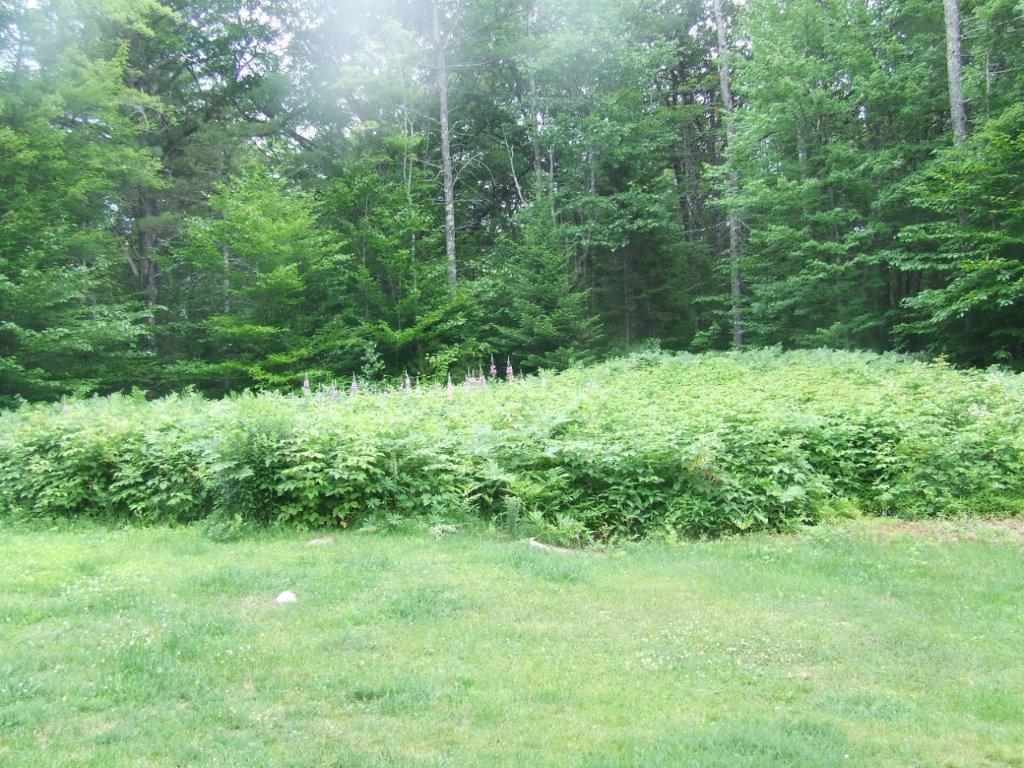 69 Greenwood Road Madison, NH 03875 - Photo 4 of 21