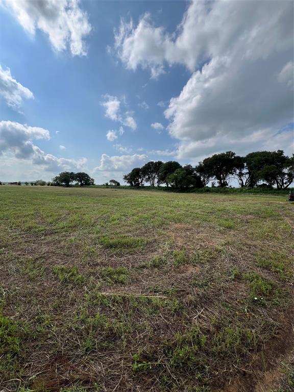 1757 County Road 252 Rising Star, TX 76471 - Photo 16 of 25 a view of a golf course with a lake