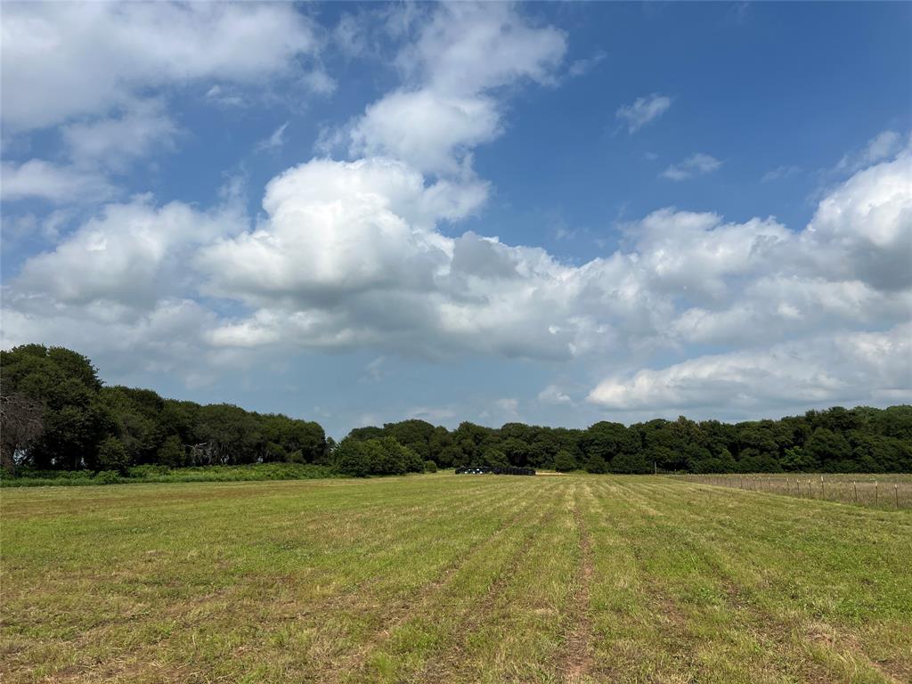 1757 County Road 252 Rising Star, TX 76471 - Photo 5 of 25 a view of an ocean and beach