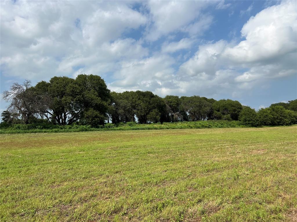1757 County Road 252 Rising Star, TX 76471 - Photo 6 of 25 a view of an ocean and beach