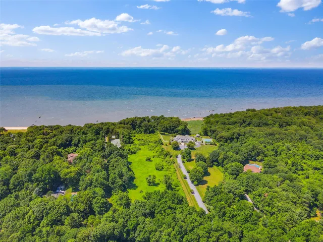 a view of a bunch of plants and trees