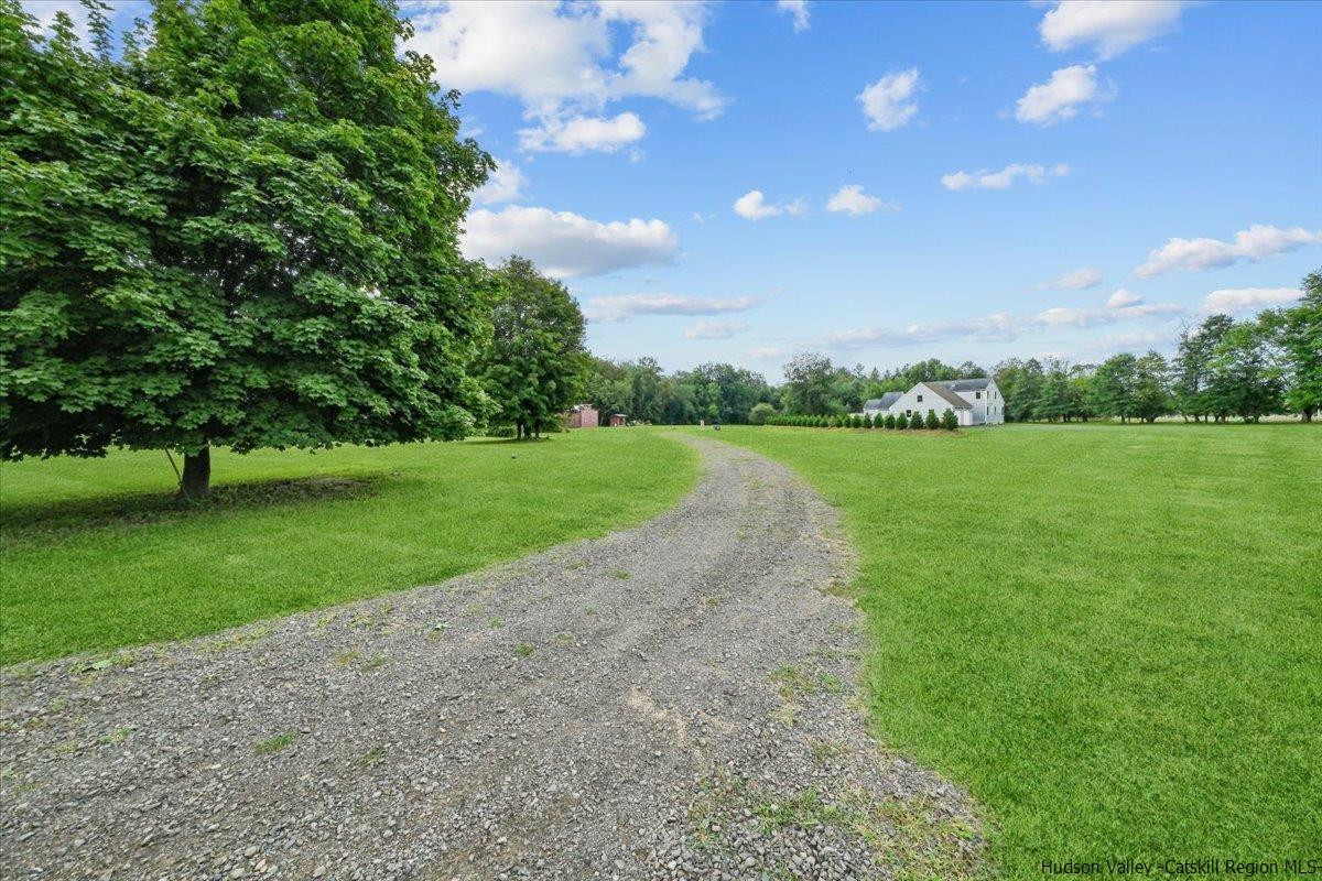 45 Pine Bush Road Stone Ridge, NY 12484 - Photo 4 of 34 a view of a trees with a big yard