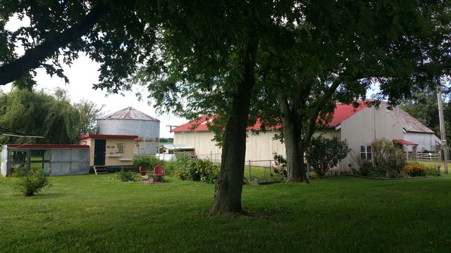1645 Maytown Road Sublette, IL 61367 - Photo 2 of 21 a front view of a house with garden