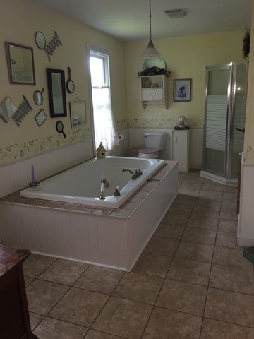 1645 Maytown Road Sublette, IL 61367 - Photo 11 of 21 a bath tub sitting in a bathroom and mirror