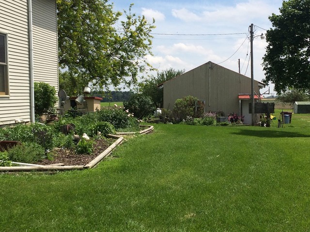 1645 Maytown Road Sublette, IL 61367 - Photo 4 of 21 a view of a back yard of the house