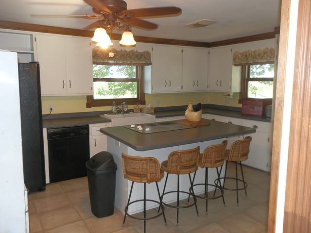 1645 Maytown Road Sublette, IL 61367 - Photo 5 of 21 a kitchen with a table chairs sink and cabinets