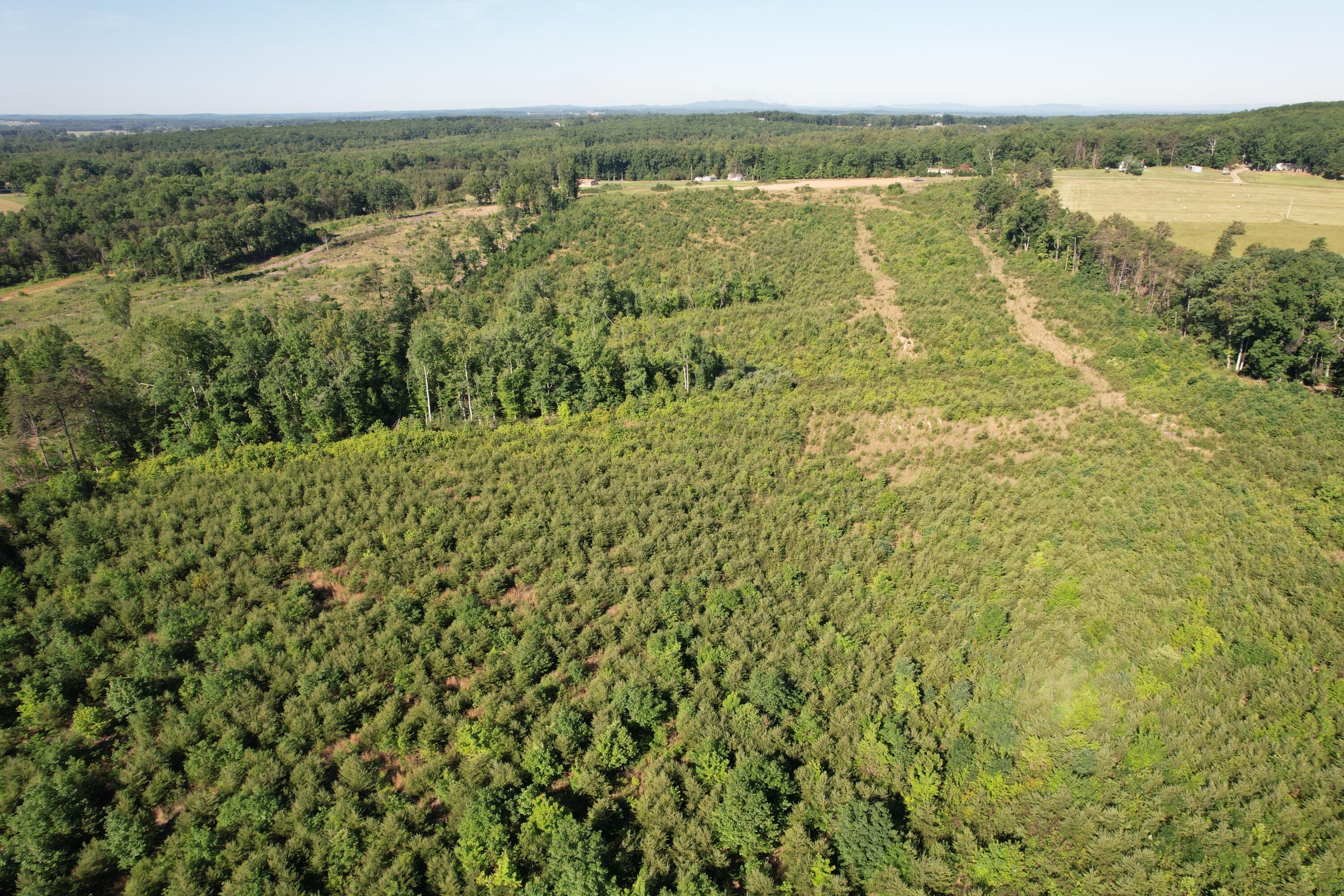 0 Georges Creek Road Gretna, VA 24557 - Photo 9 of 18 DJI_0526