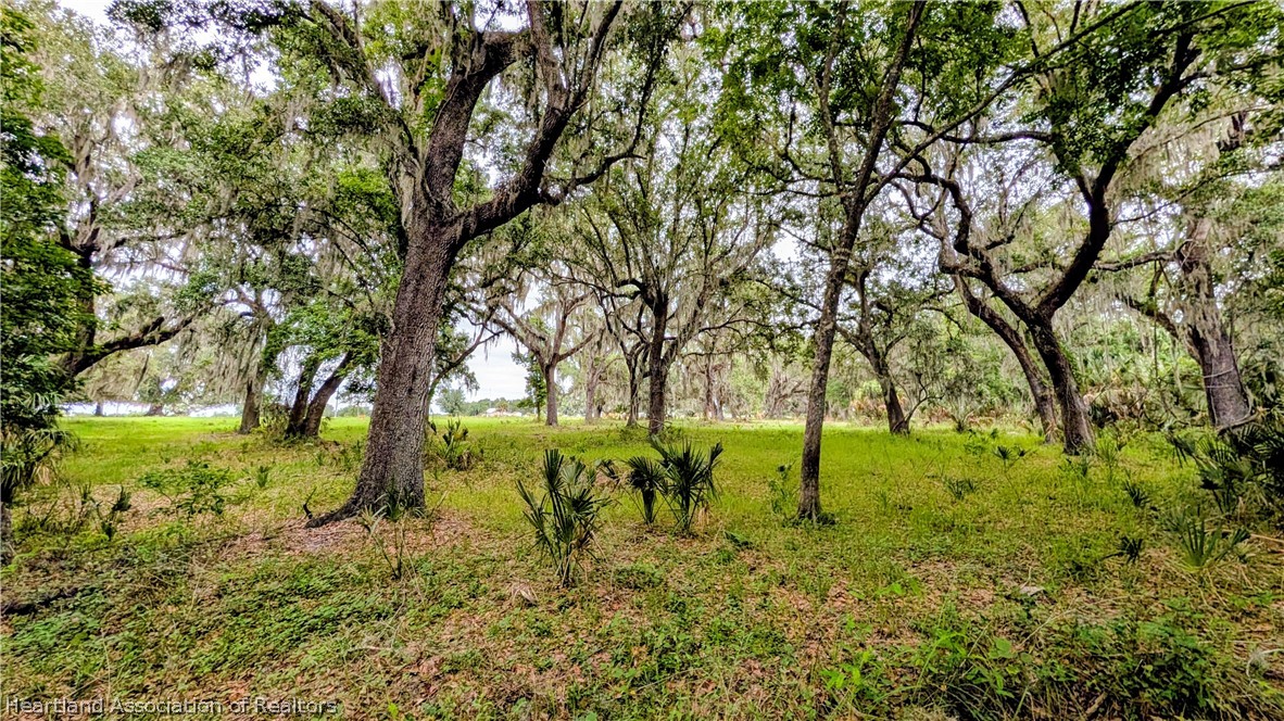 Popash Road Wauchula, FL 33873 - Photo 11 of 29 a view of yard with trees