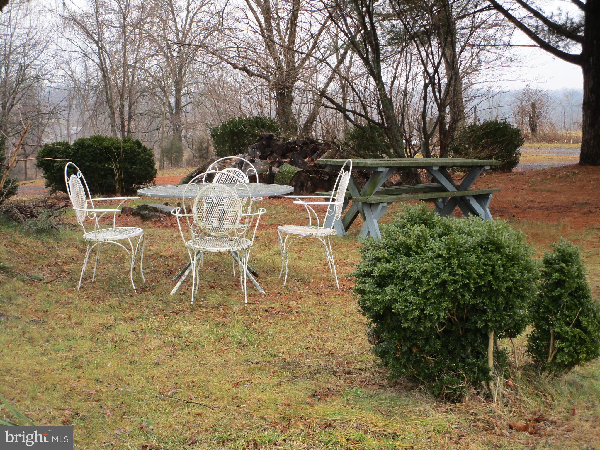 1346 Old Grade Road Strasburg, VA 22657 - Photo 9 of 9 SIDE YARD