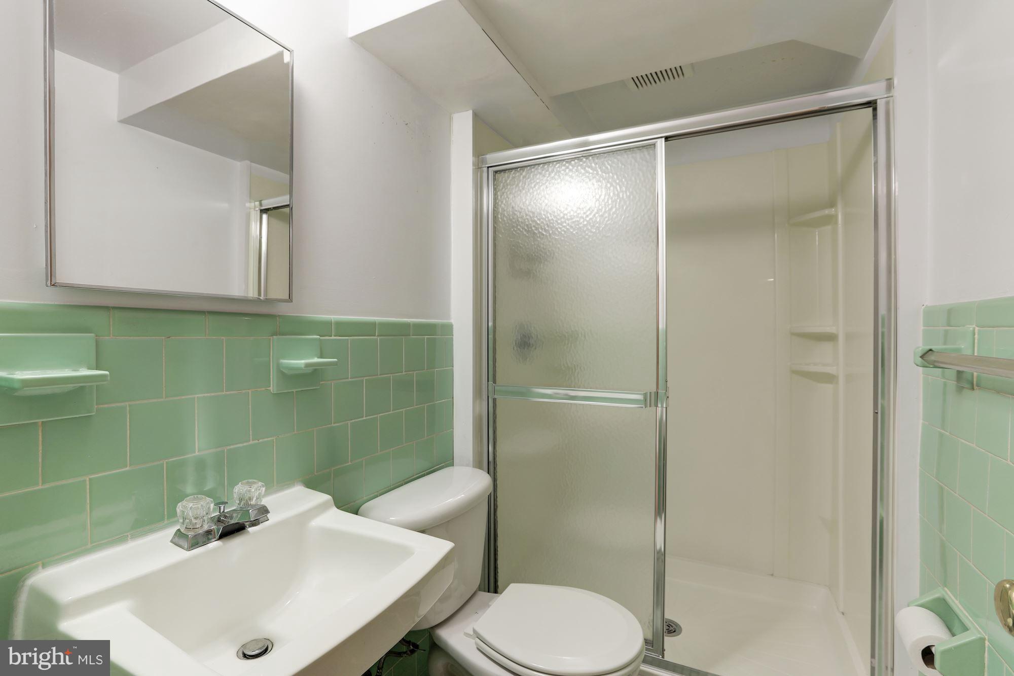 11713 Kingtree Street Silver Spring, MD 20902 - Photo 20 of 26 Basement Full Bath