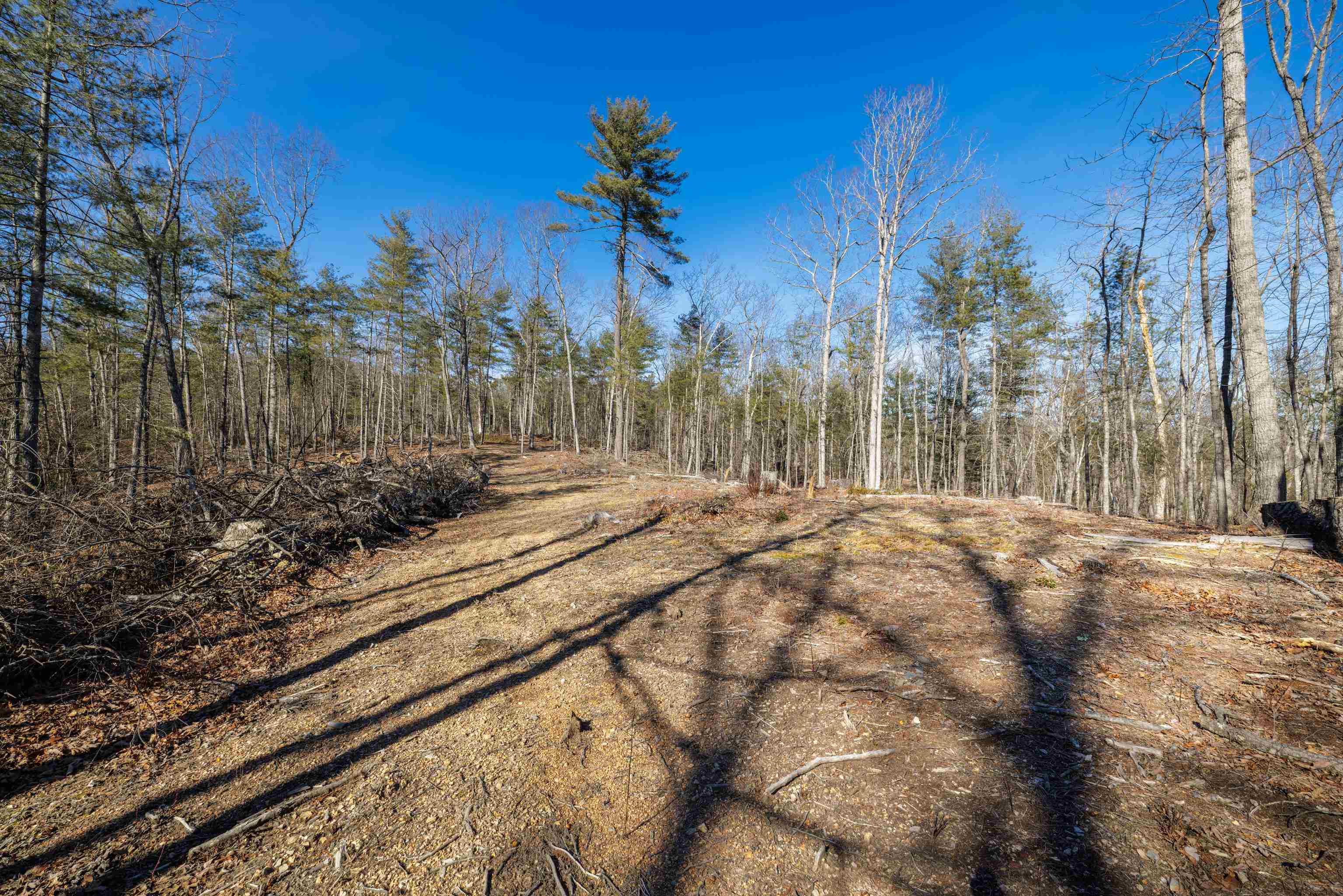 24.97-ac Stribling Springs Road Mount Solon, VA 22843 - Photo 28 of 34 a view of a backyard of the house