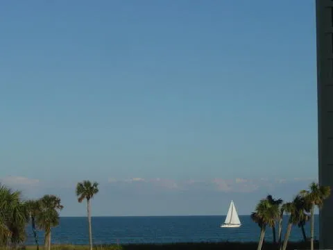 a view of a room with a potted plant and wooden floor